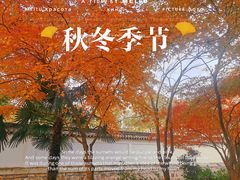 -秋霞圃