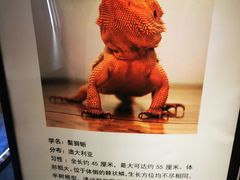 -大连凯丹广场