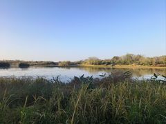 -西溪国家湿地公园