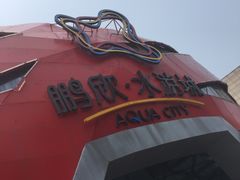 -鹏欣水游城