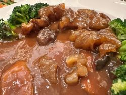 -上海雅居乐万豪侯爵酒店·宴会厅