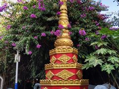 -瑞丽独树成林风景区