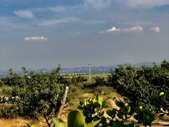 -古柏渡飞黄旅游区