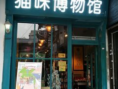 -猫咪博物馆(顶澳仔猫街店)