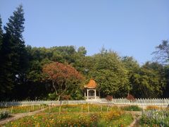 -晓港公园