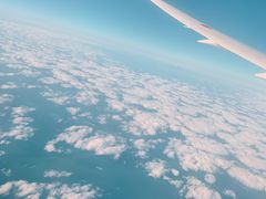 -全日本空输株式会社(上海办事处)