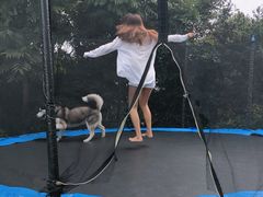 -汪说喵讲宠物乐园宠物酒店(红星美凯龙店)