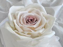 -你好独角兽·蛋糕甜品