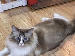 -白兔子密室(长寿路店)