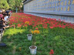 -西安大兴善寺