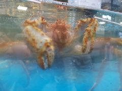-盒马鲜生(悦峰店)
