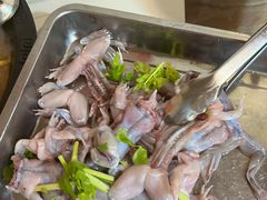 -大江美蛙鱼火锅(都江堰店)