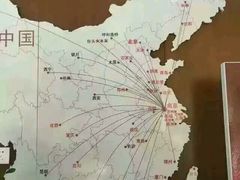 -金吉鸟健身游泳