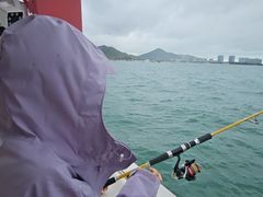 -小猫钓鱼海钓俱乐部(椰梦长廊店)