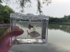 -杭州城北体育公园