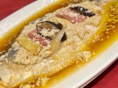 酒香鲥鱼-老吉士酒家(天平路店)