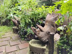 -普洱太阳河森林公园