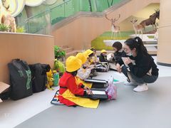 -杨梅红艺术教育(西安高新唐延教学中心)