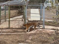 -青藏高原野生动物园