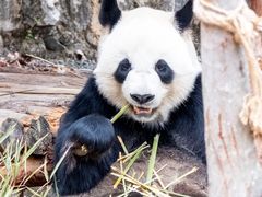 -泉州海丝野生动物世界