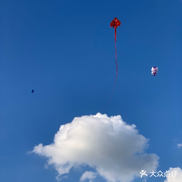 黄鹤楼是这座城的精神图腾
