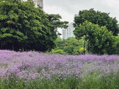 -厦门园林博览苑