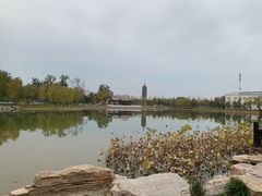 -西海子公园