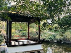 -上海醉白池公园
