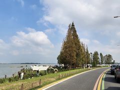 -状元楼(金溪路店)