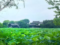 -高子水居