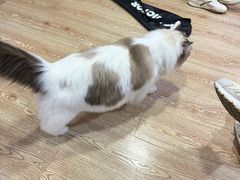 -白兔子密室(长寿路店)