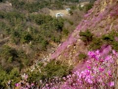 -青岛大珠山景区