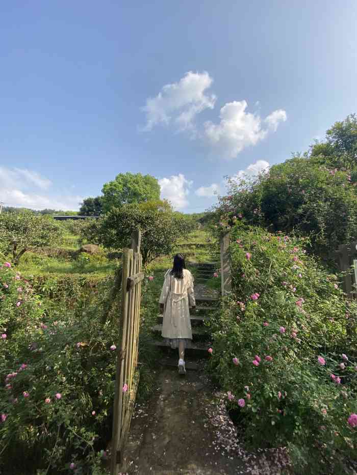 金果园(北碚)-"清明到了,跟家人开车去北碚祭祖,顺便搜了.