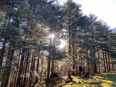 -硗碛藏寨·神木垒景区