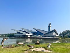 -盐城丹顶鹤湿地生态旅游区