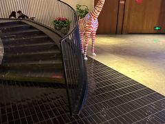 -大连君悦酒店