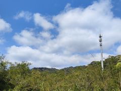 -海南热带雨林国家公园吊罗山景区