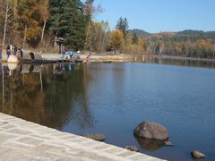 景点-五营红松林海景区