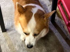-小梁哥云吞面(黄贝岭店)