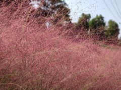 -牛岗山公园