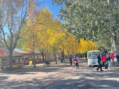 -朝阳公园游乐园