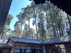 -寂照庵