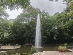 -九龙公园