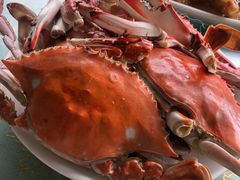 螃蟹-常家活海鲜小吃(仅一家无分店)