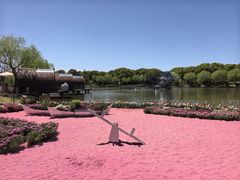 -上海鲜花港
