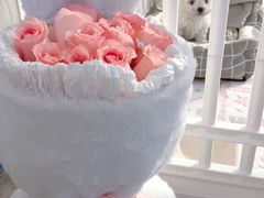 -总动员动物医院(宝丰院店)