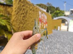-DGE季风钓虾营地·团建·聚会