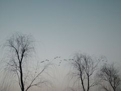 -洨河生态公园
