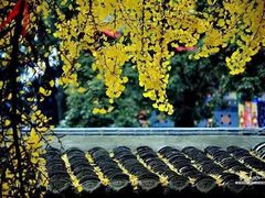 -金堂县云顶石城风景区