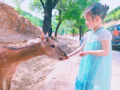 -福娃禧娃幼儿园